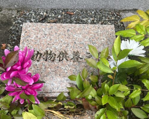 A85449AD-1A43-48B5-A2BC-A0063046B24B